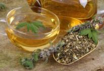 Is it possible to give motherwort to children?